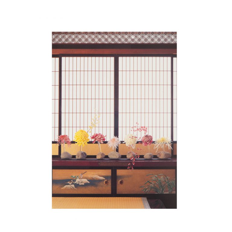 假屋崎省吾オリジナル ポストカード6枚セット(秋1) 假屋崎省吾オリジナル ポストカード6枚セット(秋1)